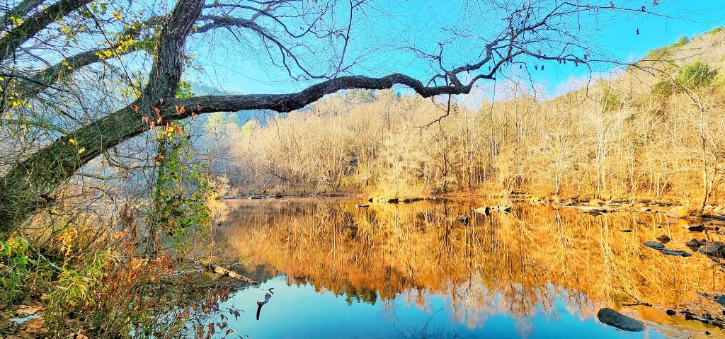 Experiencing Tellico Plains